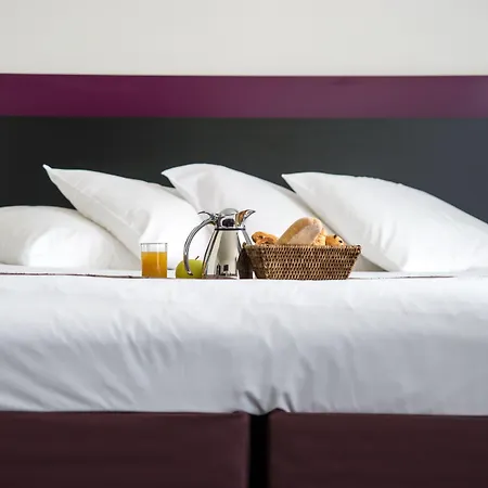 Mercure Lille Grand روبيه